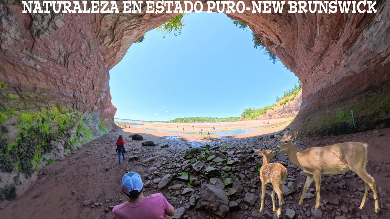 DE CUEVAS SALVAJES A PUEBLOS DE POSTAL