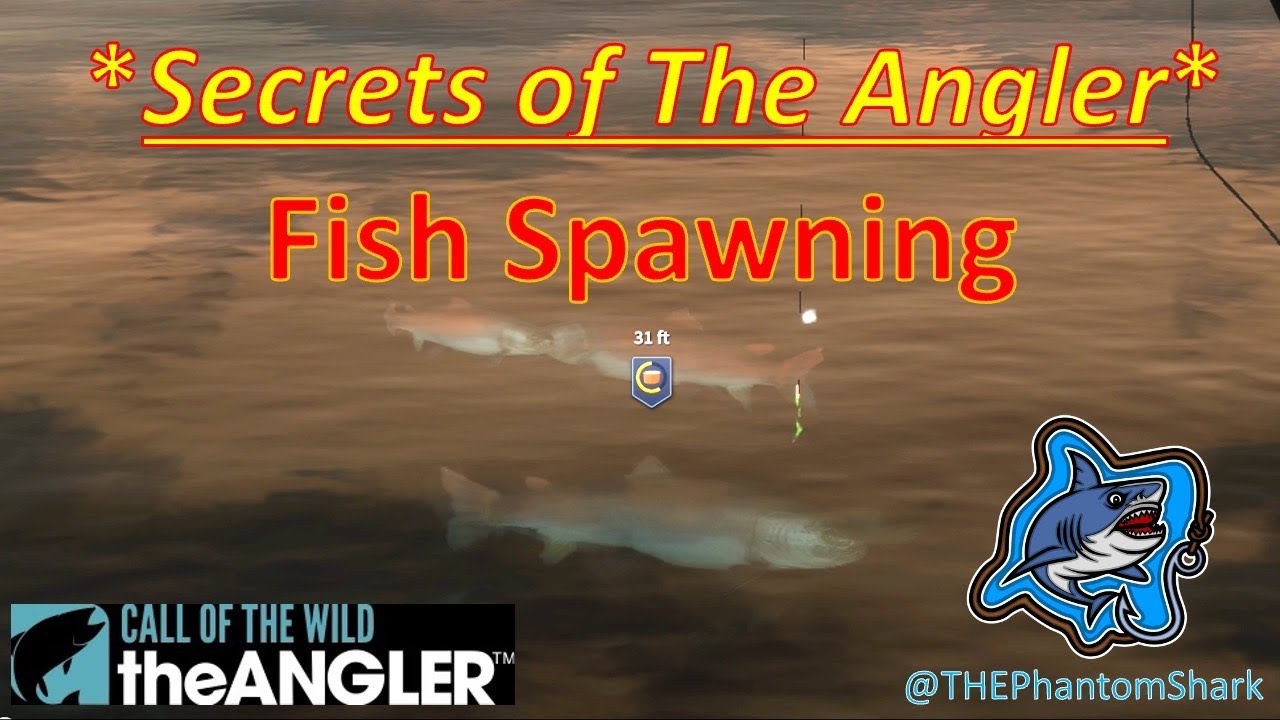 Secrets of Call of the Wild: The Angler - Fish Spawning
