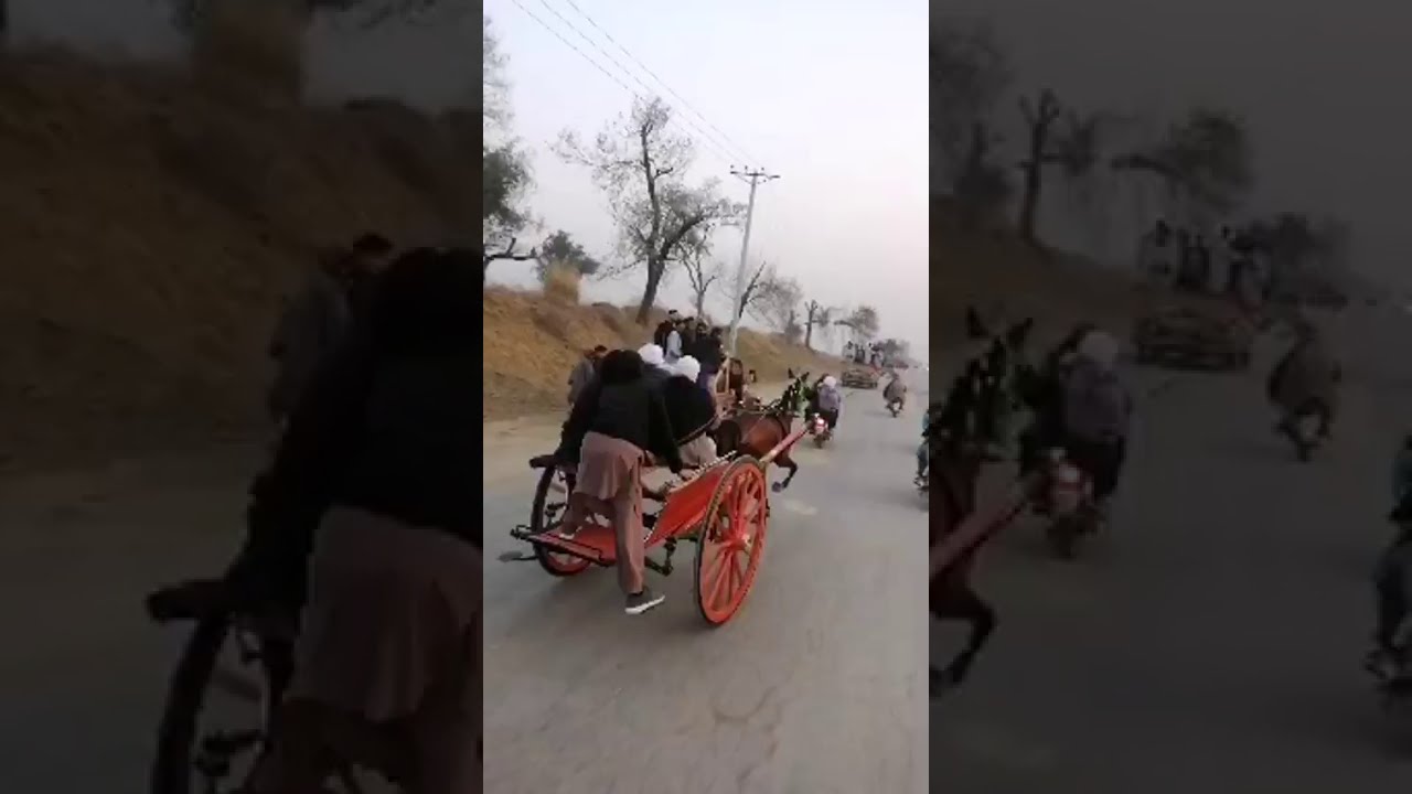 LUNDA DARYA VS ANDAAZ GHORRA RACE 14.02.2021 Ghourghusti Hazro Horse Race 2021