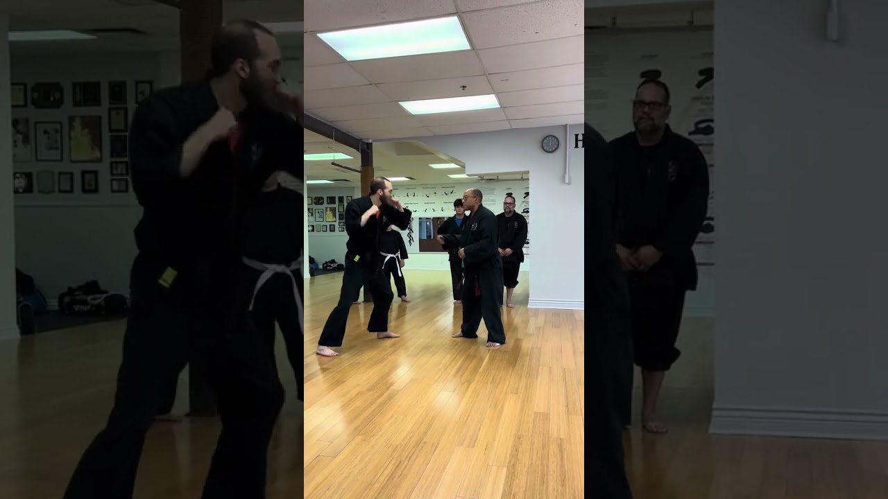 Shaolin Kempo - contact/ “blocking”