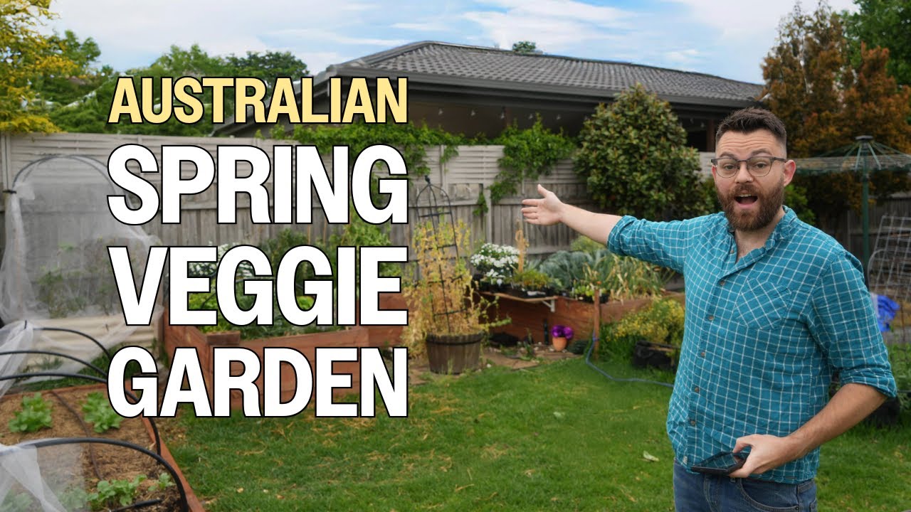 Spring Garden Update | Australian Veggie Garden In October