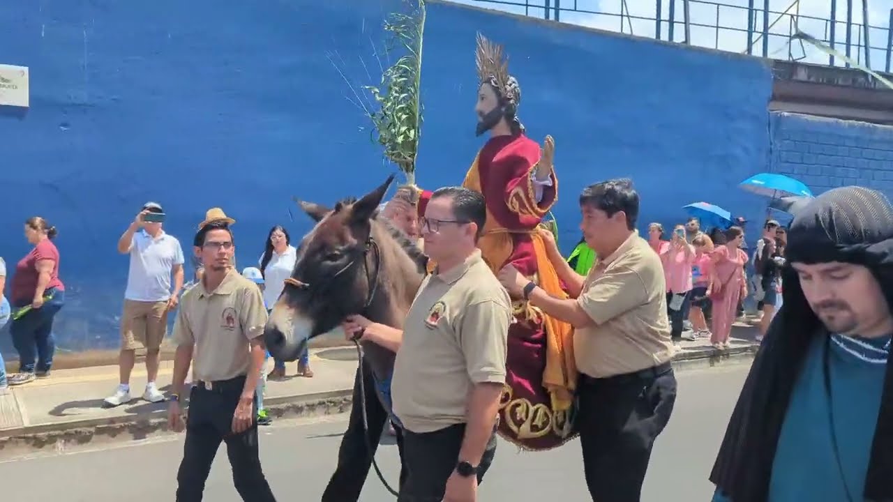 Procesión del Domingo de Ramos Frailes Capuchinos Cartago 2024 HD