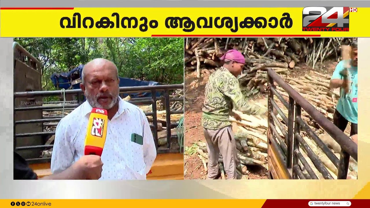 ഒരു ടൺ വിറകിന് 5000 രൂപ;വാണിജ്യ സിലിണ്ടർ കിട്ടാതായതോടെ വിറകിന് ആവശ്യക്കാർ ഏറുന്നു