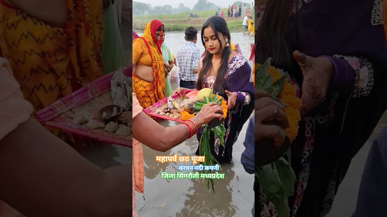 Chhath Pooja 🎎 #chhathpuja #chhathimaiya #trending #chhath #morning #village #river #minivlog