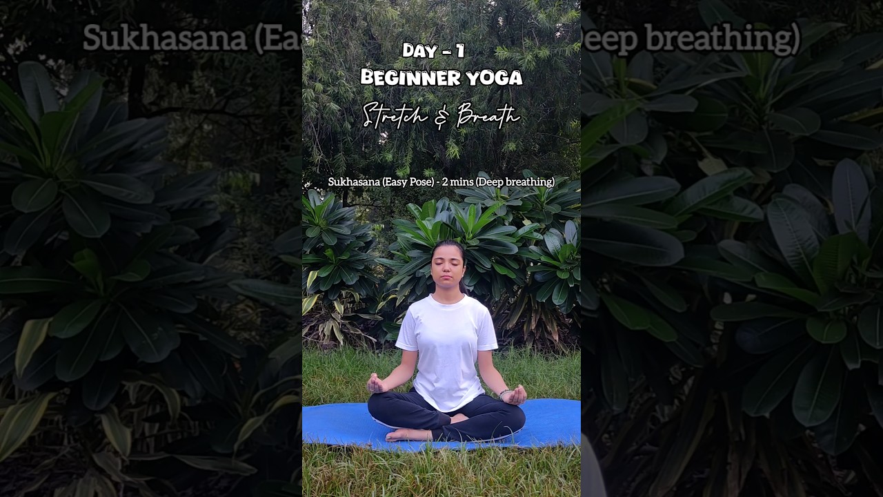 Day -1 Yoga For Beginners