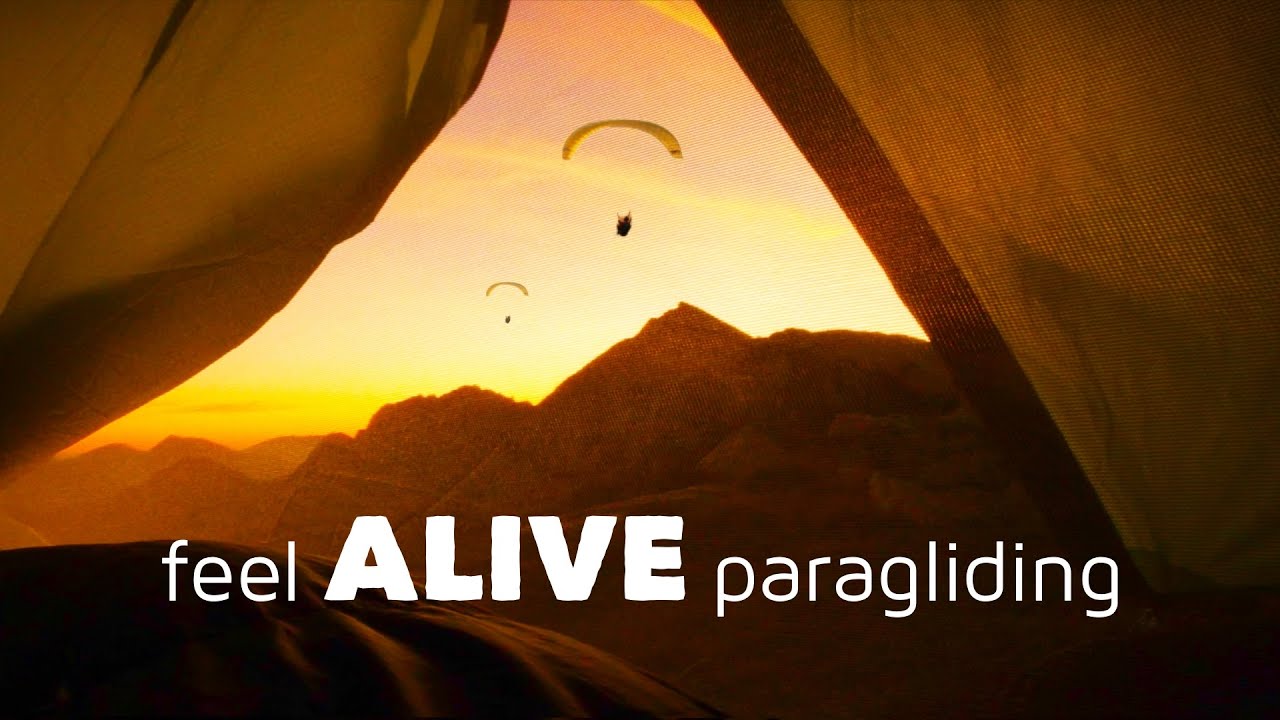 feel ALIVE paragliding