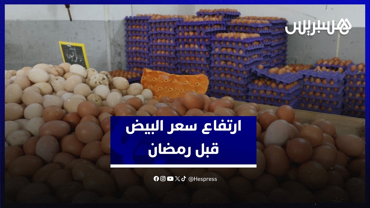 ارتفاع سعر البيض.. باعة يربطون الغلاء بالطلب الكبير في رمضان ومواطنون يطالبون بالمراقبة