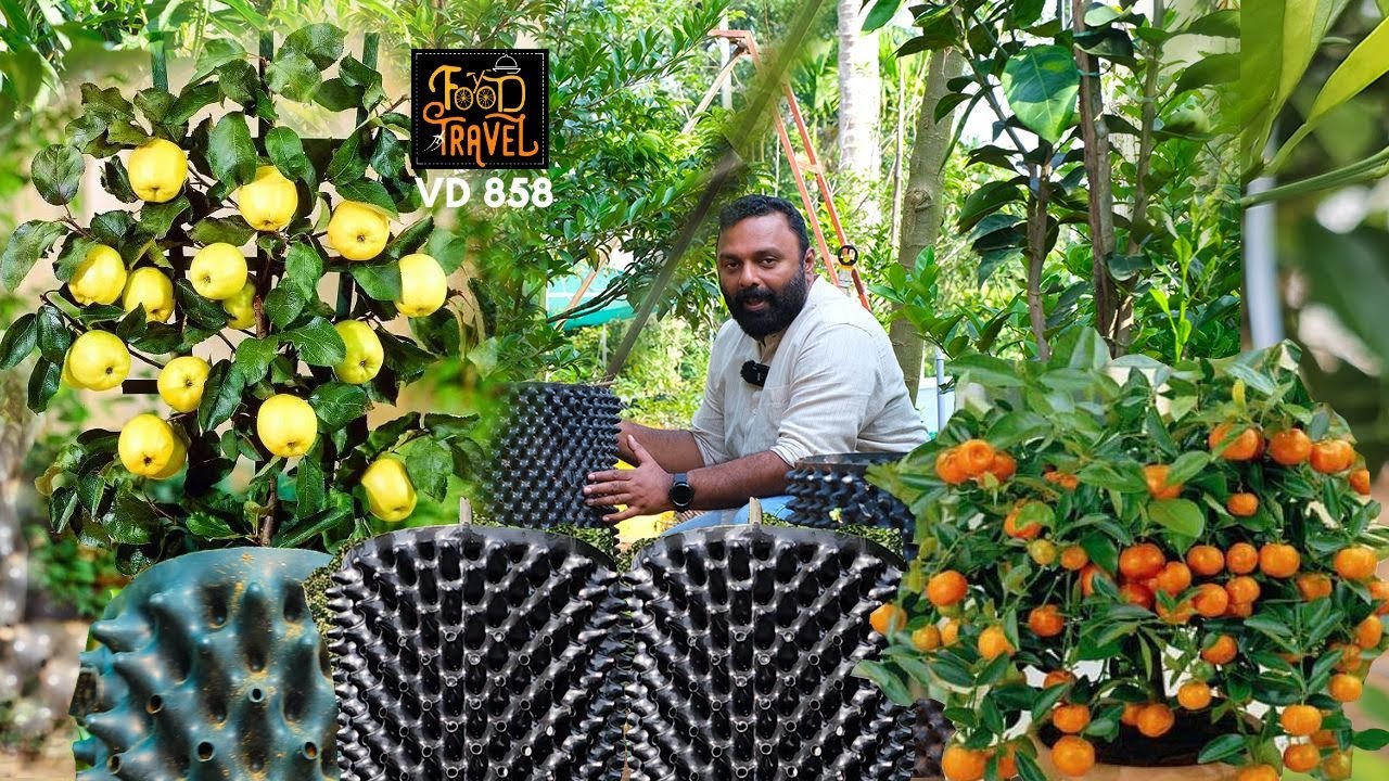 കട്ടപ്പന എയർപോട്ട് കൃഷിക്കായിട്ട് | Air pruning pots for efficient farming - Air pots for city farms