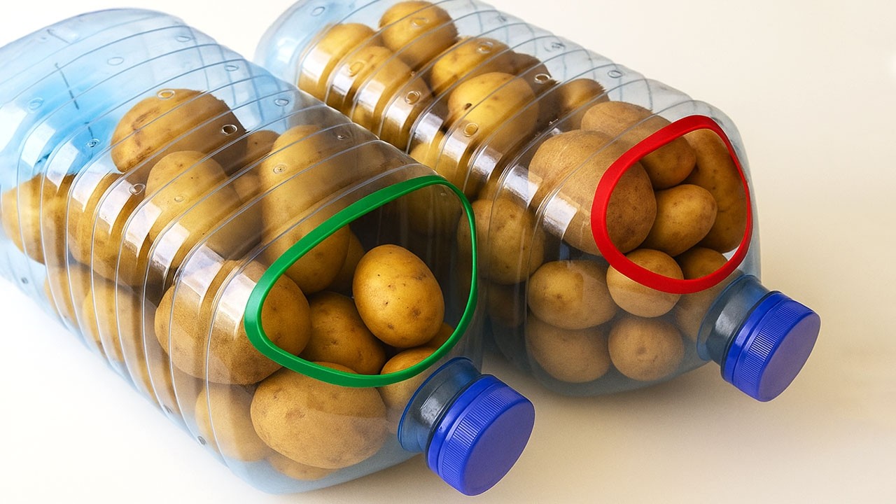 Come conservare le PATATE FRESCHE per 1 anno: niente MUFFA, niente marciume, niente germogli, nie...