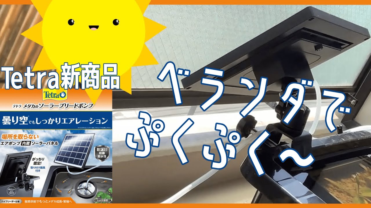【Tetra新商品】電源がいらないぷくぷく「メダカのソーラーブリードポンプ＋フィルター」