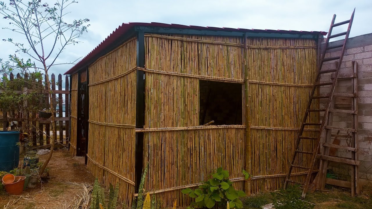 Mi papá construye su casita de carrizo