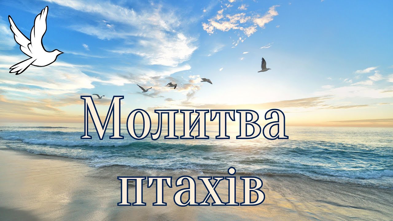 МОЛИТВА ПТАХІВ. Музика Алекса Ческіса, вірші Валентини Чайковської, вокал - Світлана  Миронова.
