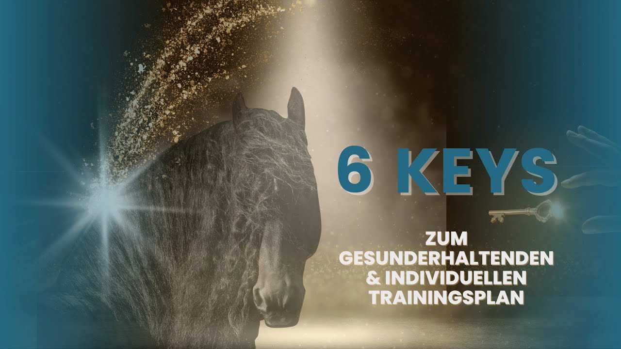 Die 6 Schlüssel zum gesunderhaltenden und individuellen Pferdetraining