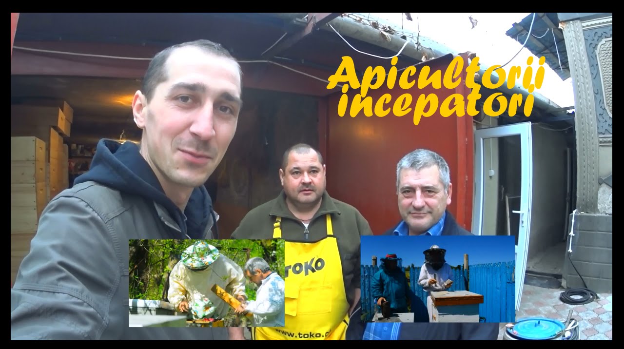 Apicultorii incepatori.In vizita la colegul Vladimir.