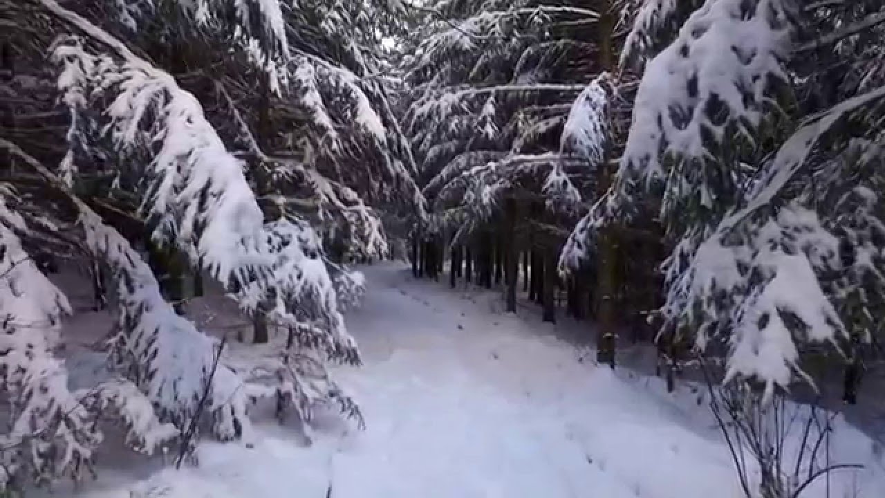 Flight trough Snowy Forest | Winter Drone flying