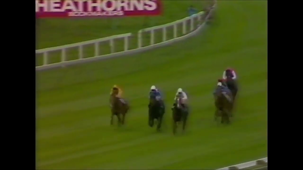 Morcon Wins at Goodwood and Funny Interview with Willie Carson and Julian Wilson Racing Legends.