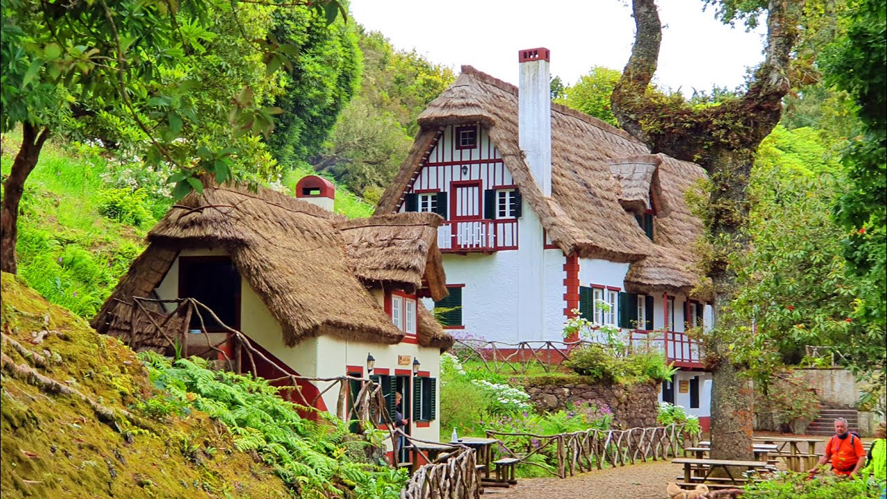 Madeira - Queimadas Forest Park