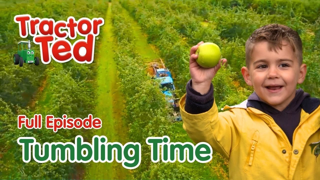 Tumbling Time 🍎 Tractor Ted Full Episode | Big Machines & Tractors For Kids