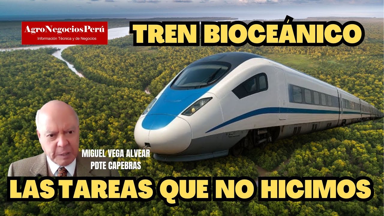 Tren Bioceánico Brasil-PERÚ: dragar ríos,  construir vías férreas, carreteras, ... y todo para ayer