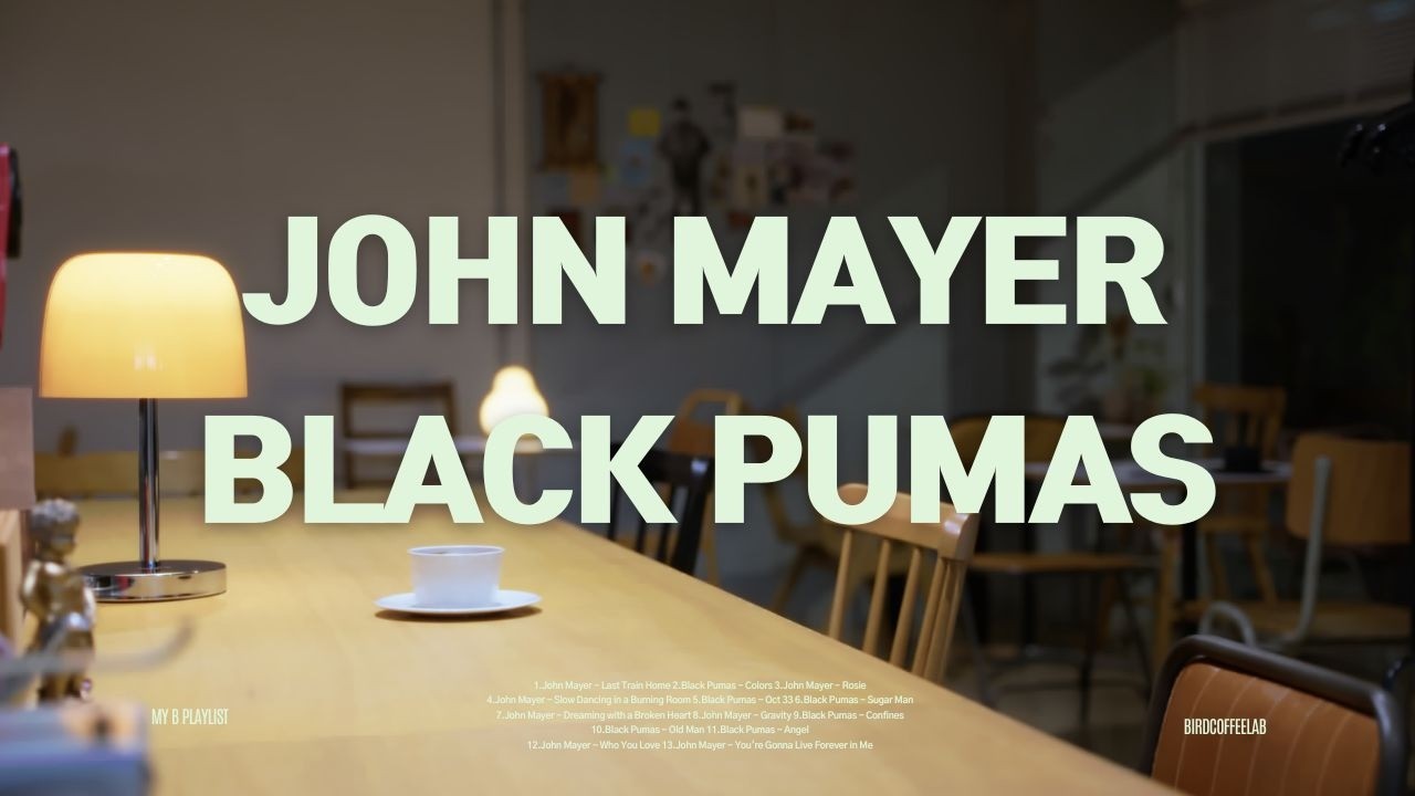 [PLAYLIST] 가을밤 책과 커피한잔과 와인 한모금 John Mayer & Black Pumas playlist 🎧BIRDCOFFEELAB ☕️