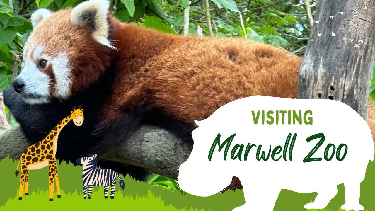Marwell Zoo, Winchester, Hampshire