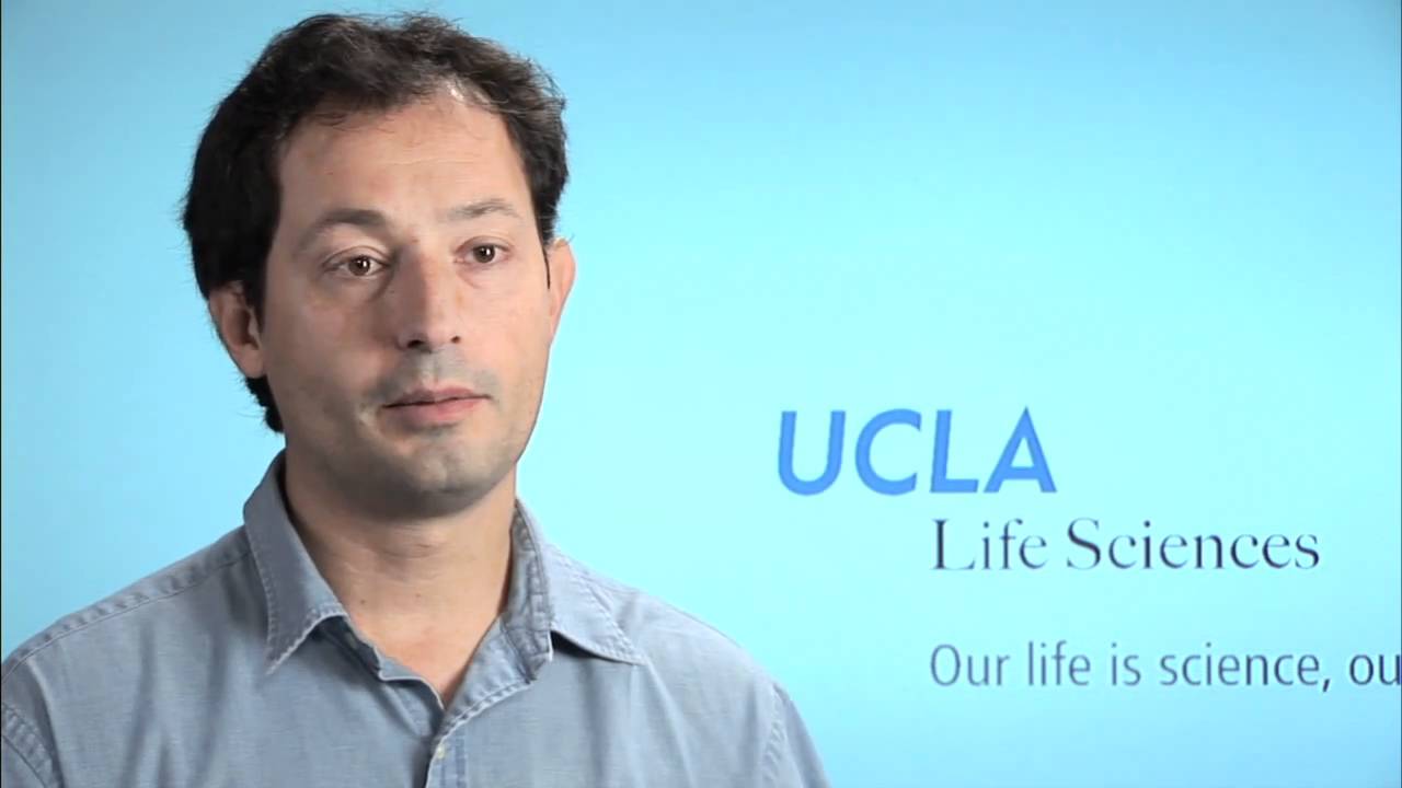 Innovations in the Life Sciences:  Matteo Pellegrini