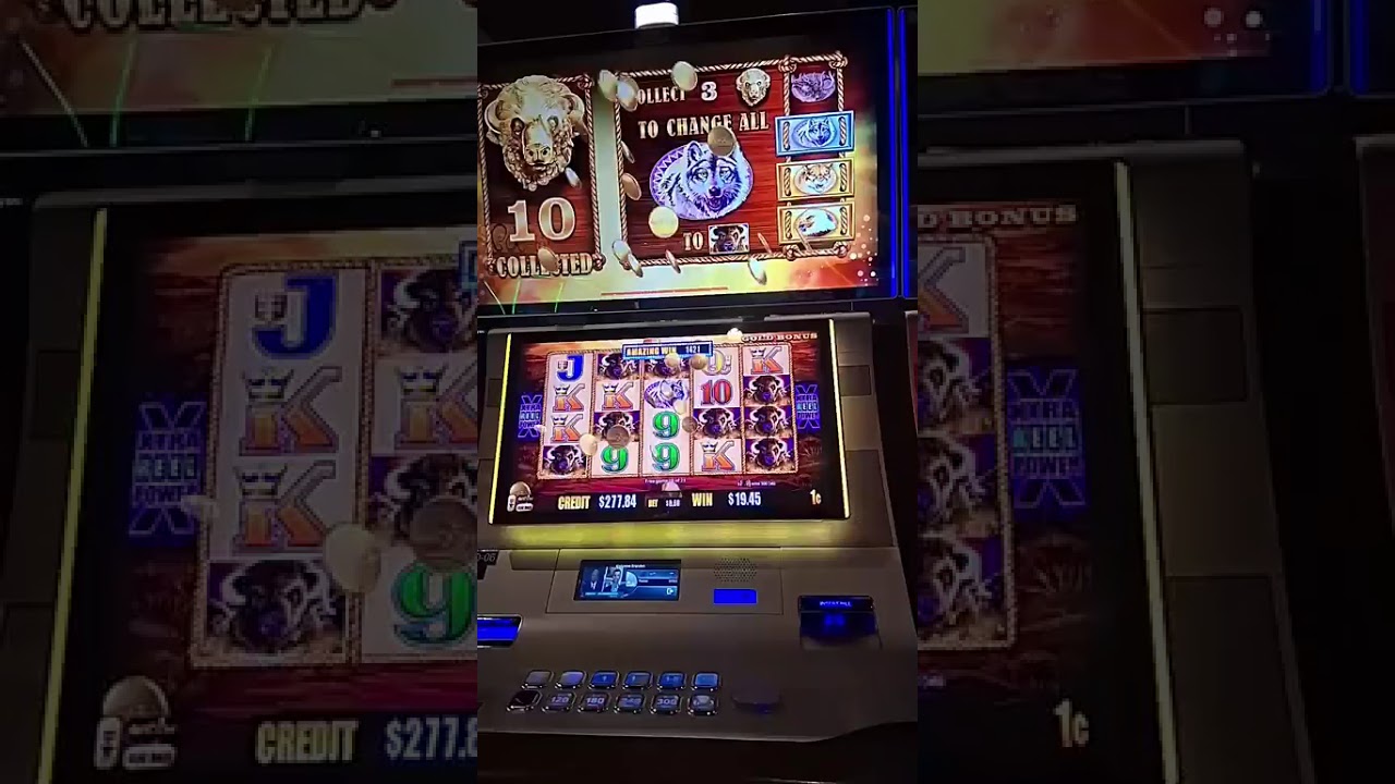 Buffalo gold collection Bonus 