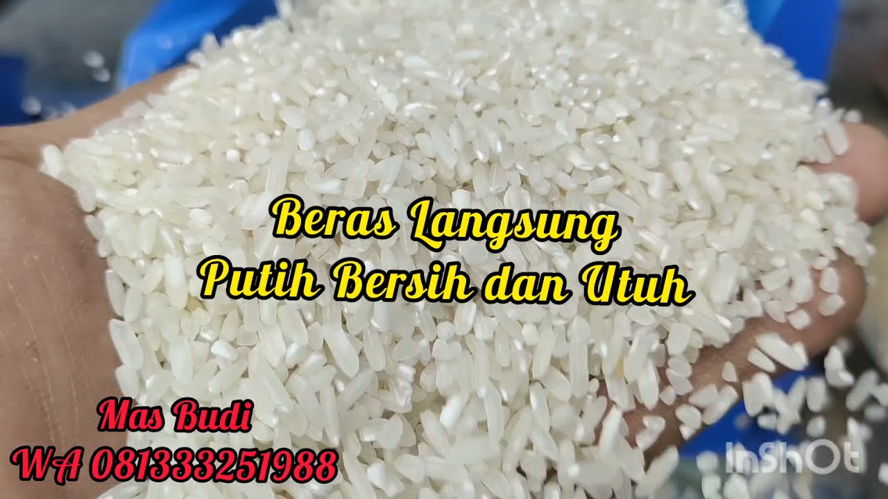 penggiling padi//giling padi // selep padi keliling