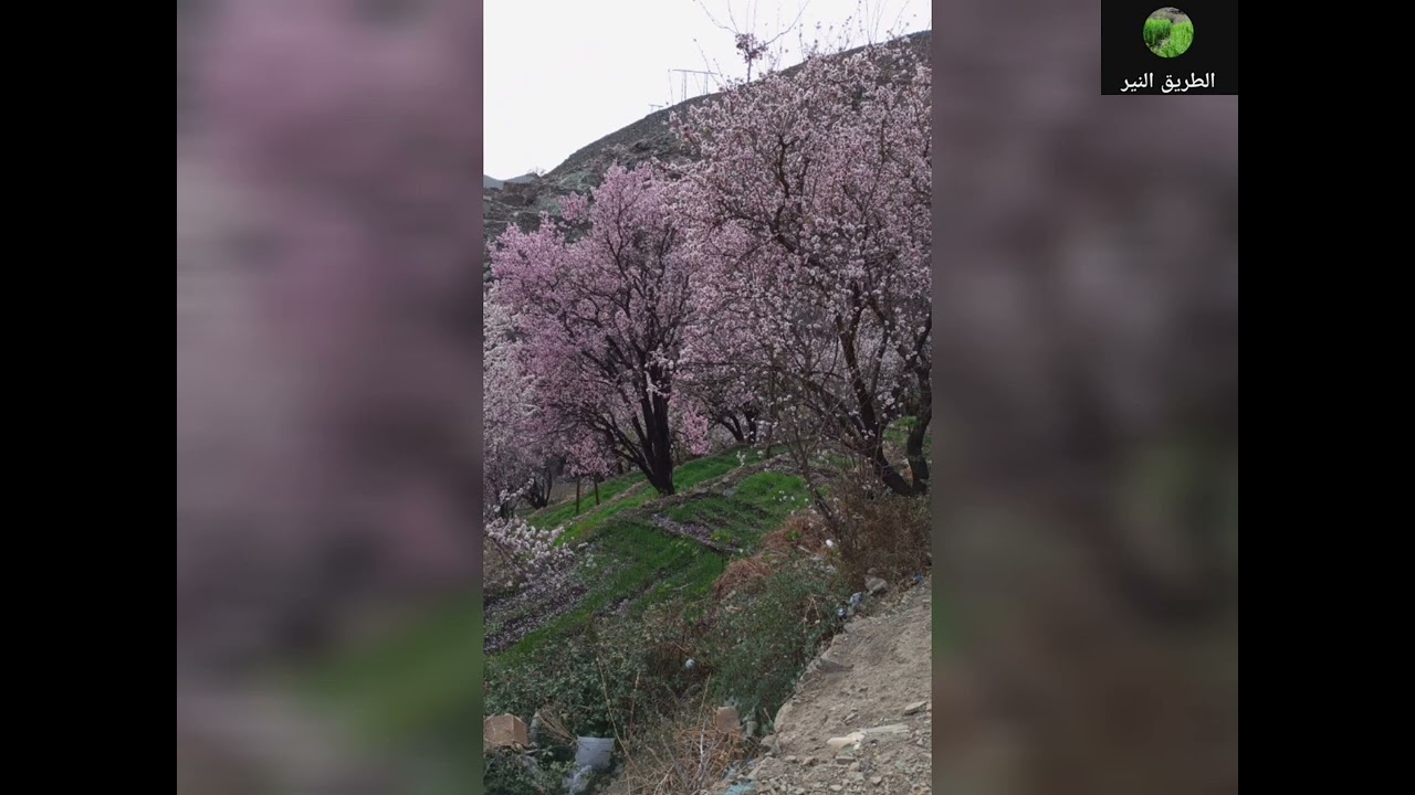 شتاء 2024 على اداومحمود تارودانت