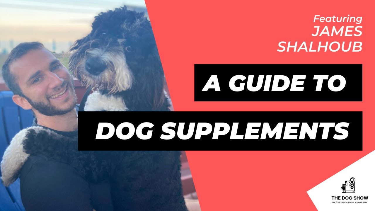 Should I Give My Dog Supplements? Q & A With Finn Co-Founder James Shalhoub (Episode 65)