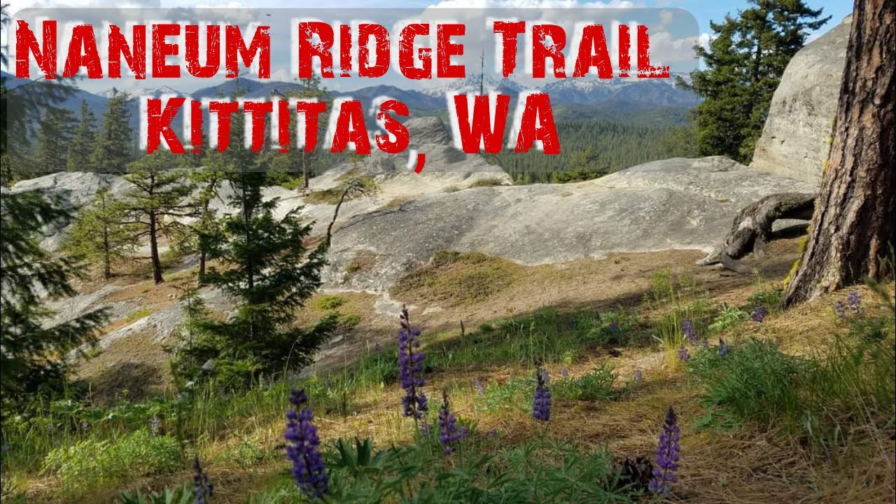 Naneum Ridge Trail Mountain Biking Kittitas WA