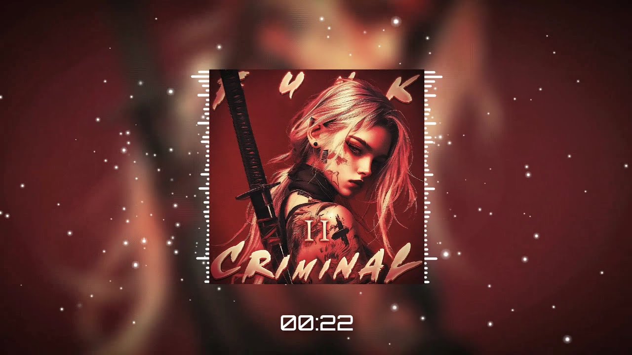 FUNK CRIMINAL II