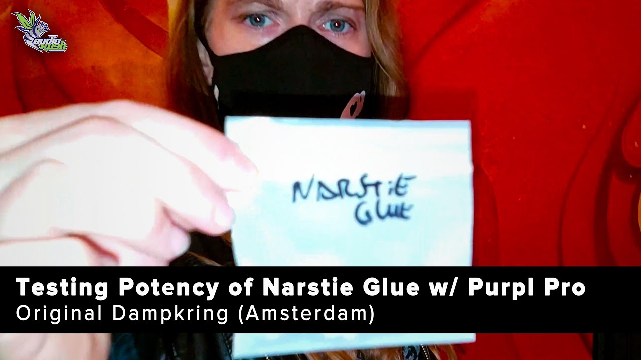 Cannabis Potency Test: Narstie Glue at Original Dampkring Coffeeshop (Amsterdam)