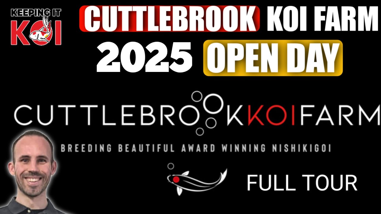 Cuttlebrook Koi Farm 2025. Что же я купил???
