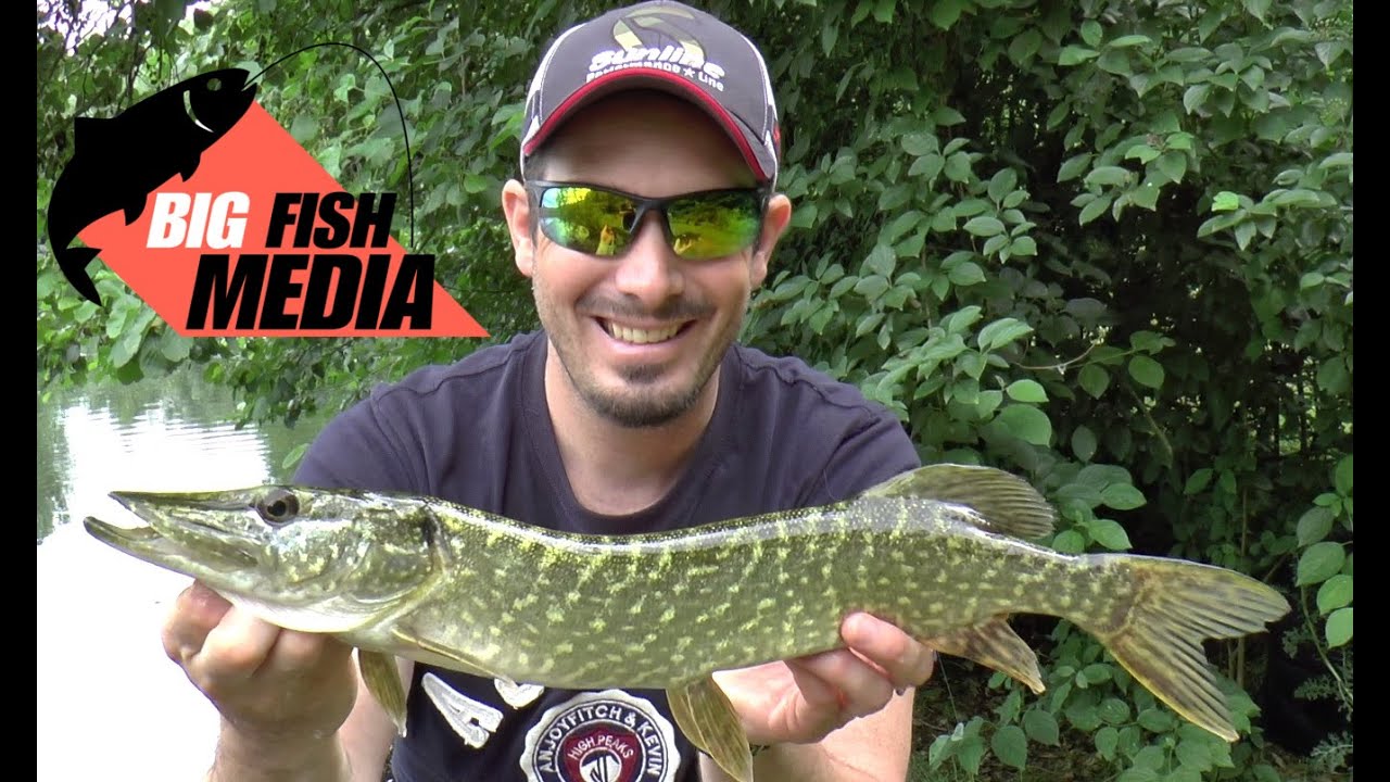 Grundkurs Spinnfischen - Ger&auml;te- und K&ouml;derkunde