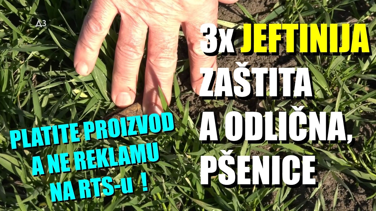 DO TRI PUTA JEFTINJA A EFIKASNA ZATITA PŠENICE - stari zaštitari ZNAJU SVE TRIKOVE - PRSKANJE!