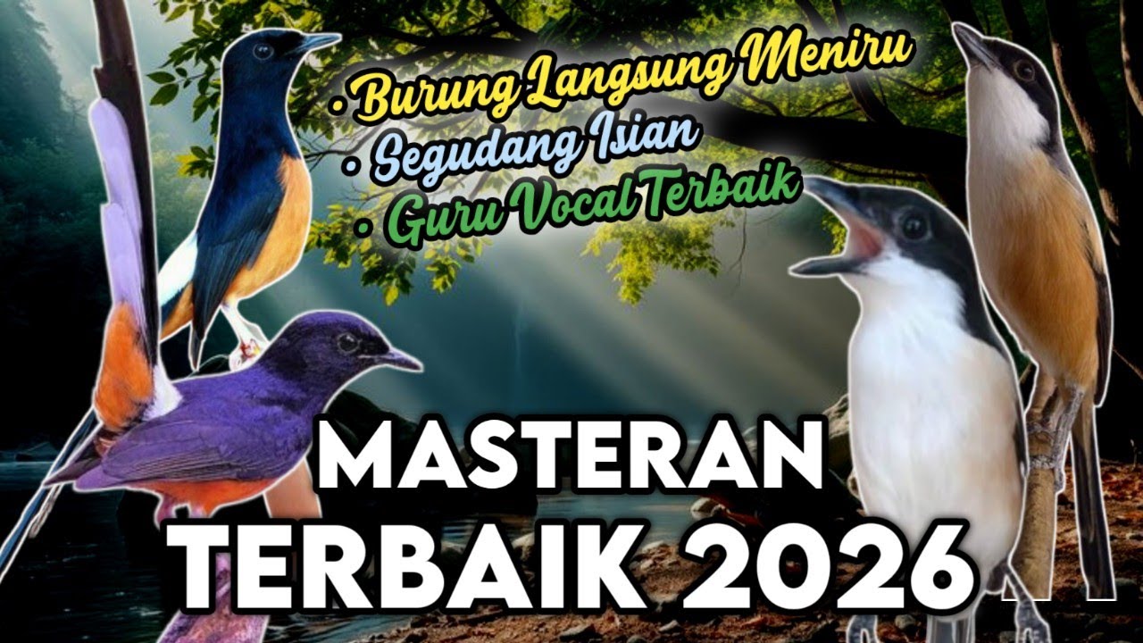 MASTERAN TERBAIK 2026, SEGUDANG ISIAN YANG PALING DICARI PEMASTER, MATERI MUDAH DITIRU