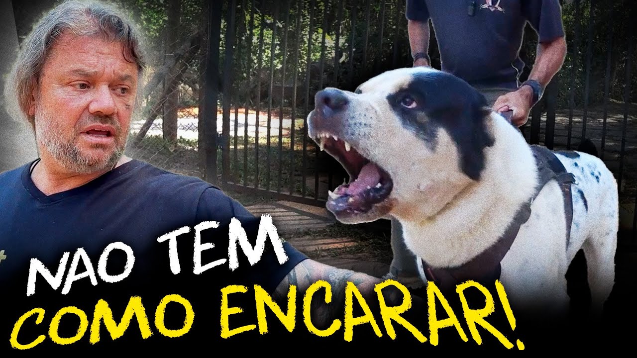 ALABAI: DESCOBRI PORQUE NINGUÉM SE ATREVE A ENFRENTAR!