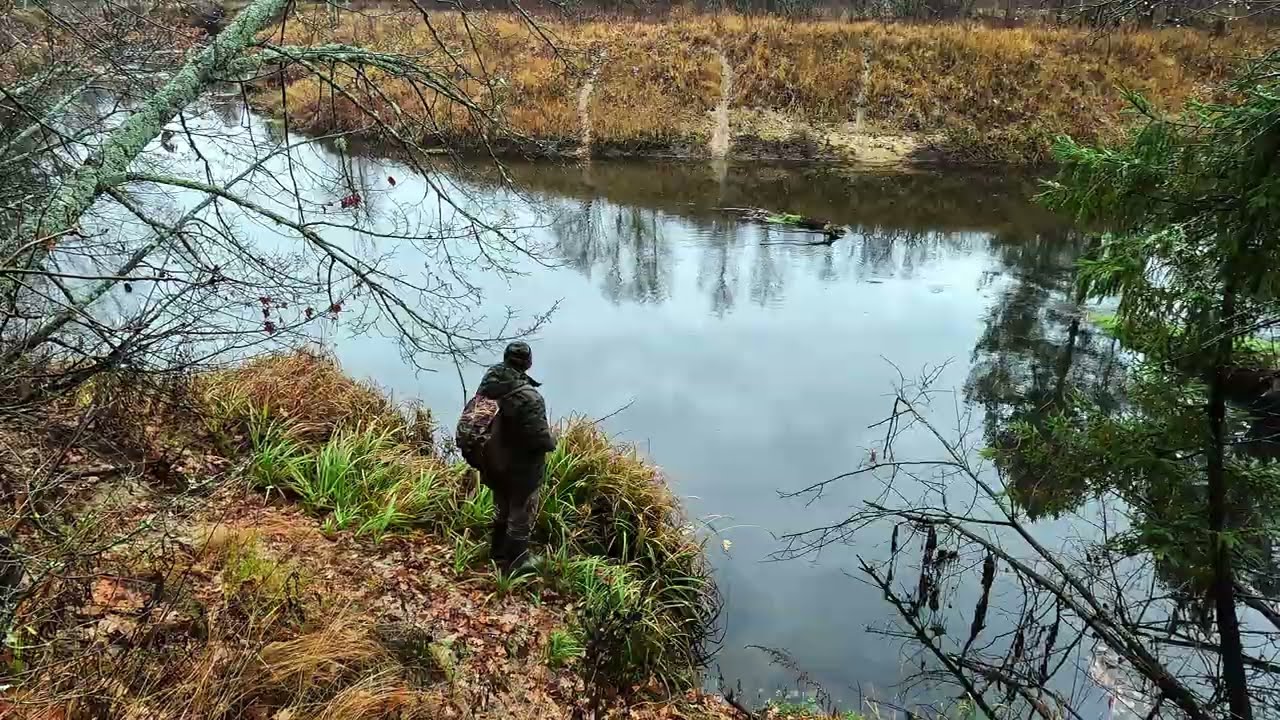 Осень !  Дожди !