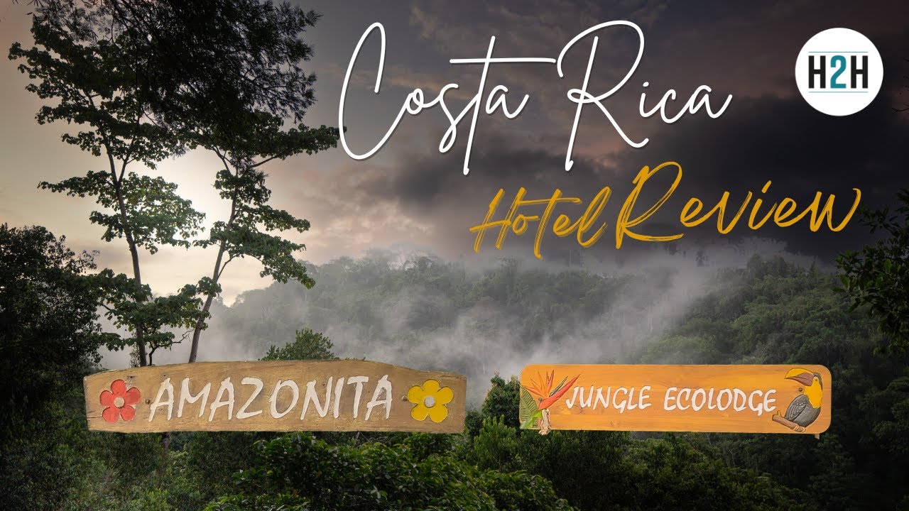Costa Rica I Amazonita Ecolodge I Übernachten mitten im Dschungel I Was für ein Abenteuer 🐵🦜🕷️