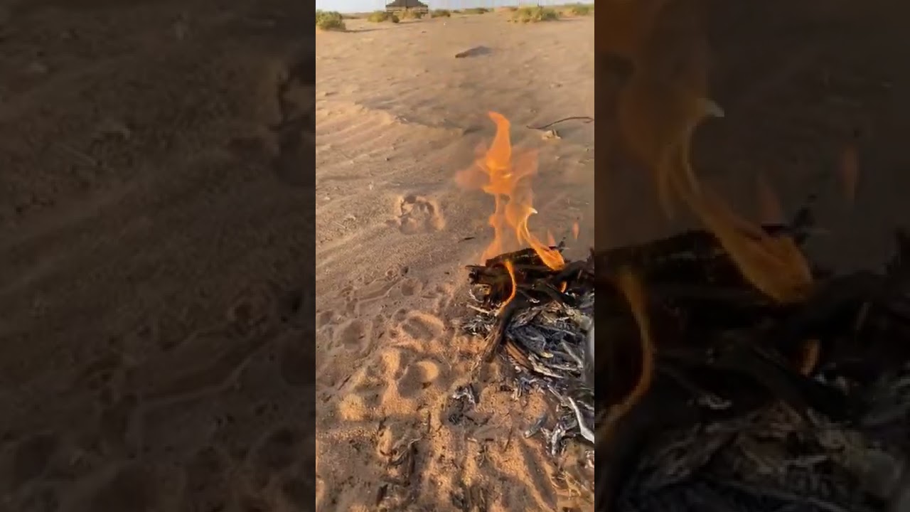 براك يحب حصة  اسمع وش حصل
