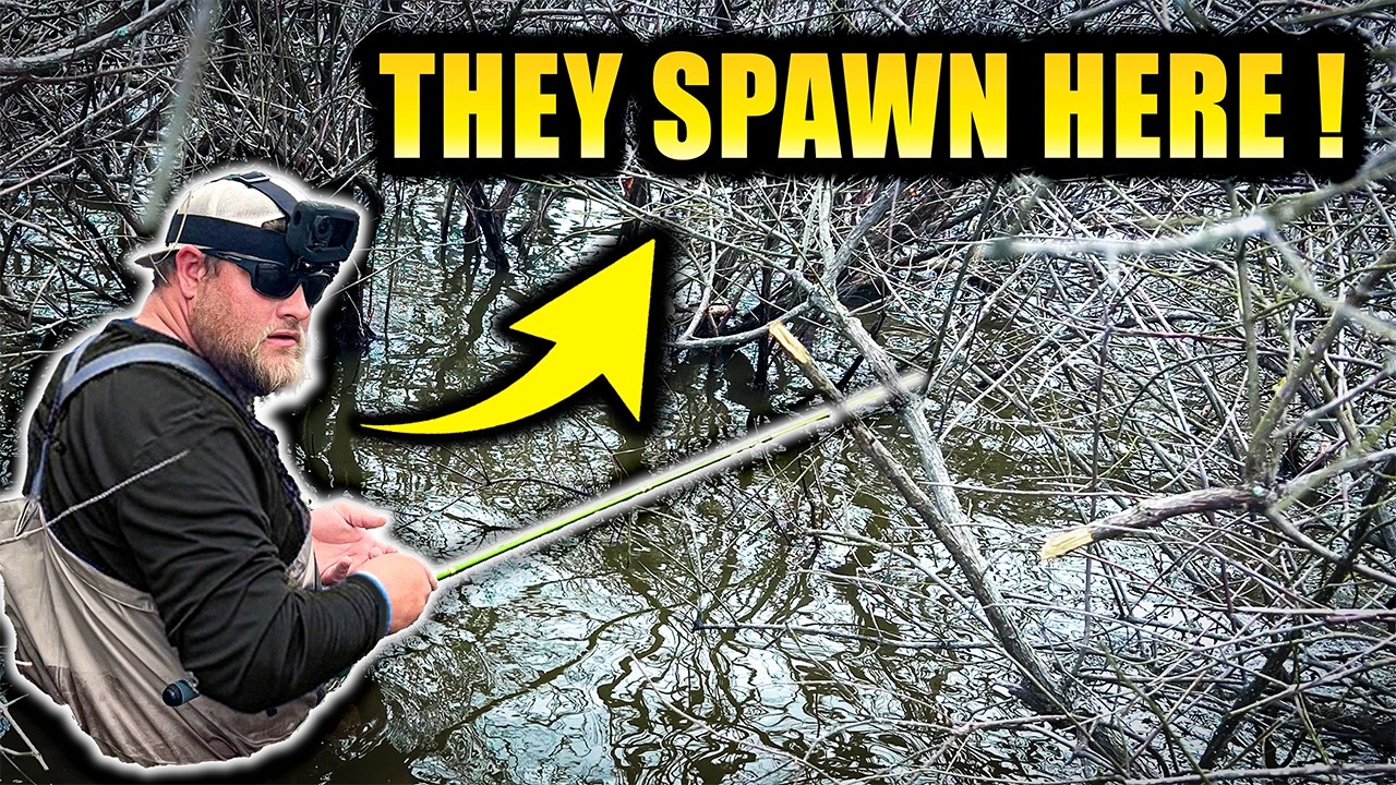 THE BEST CRAPPIE FISHING TECHNIQUE TO CATCH SPAWNING CRAPPIE IN 2026!!