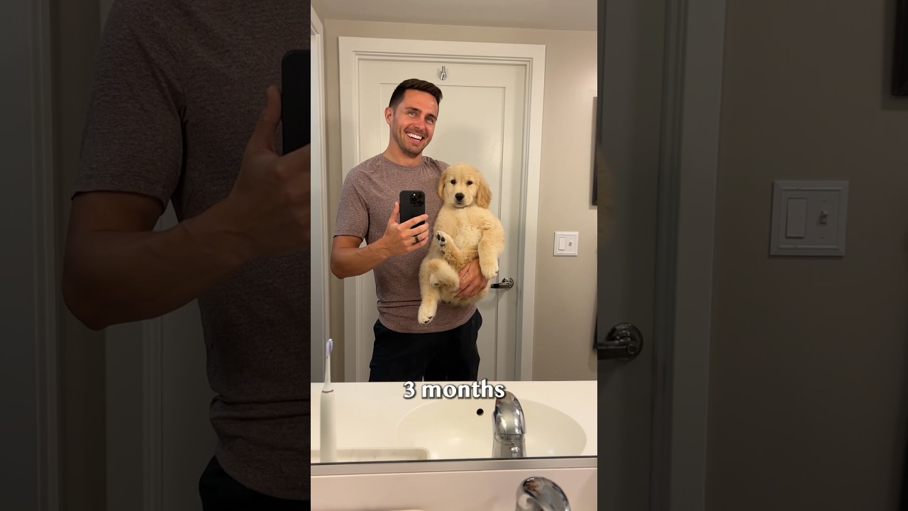 Puppy transforms into a three-year-old in 20 seconds!