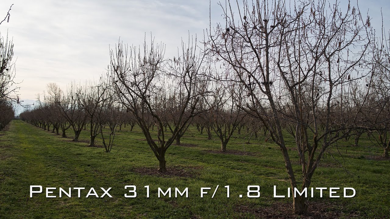 Full review: HD PENTAX-FA 31mmF1.8 Limited