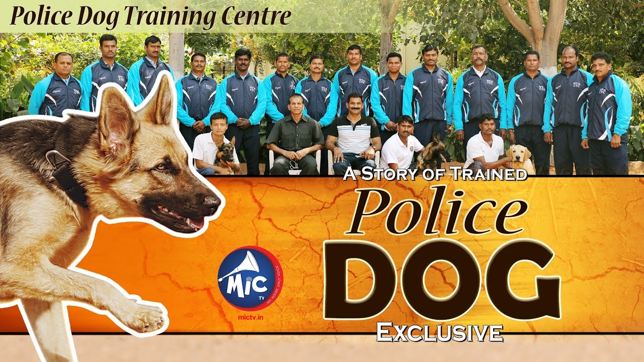 The Story of Trained Police Dogs || Exclusive || Mictv ||