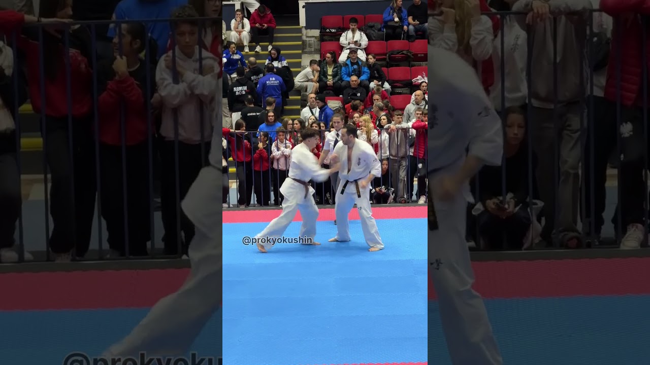 Adrián Baráth (HUN) vs Pawet Tokarzewski (POL, aka) 22nd European Open Kyokushin Karate Championship