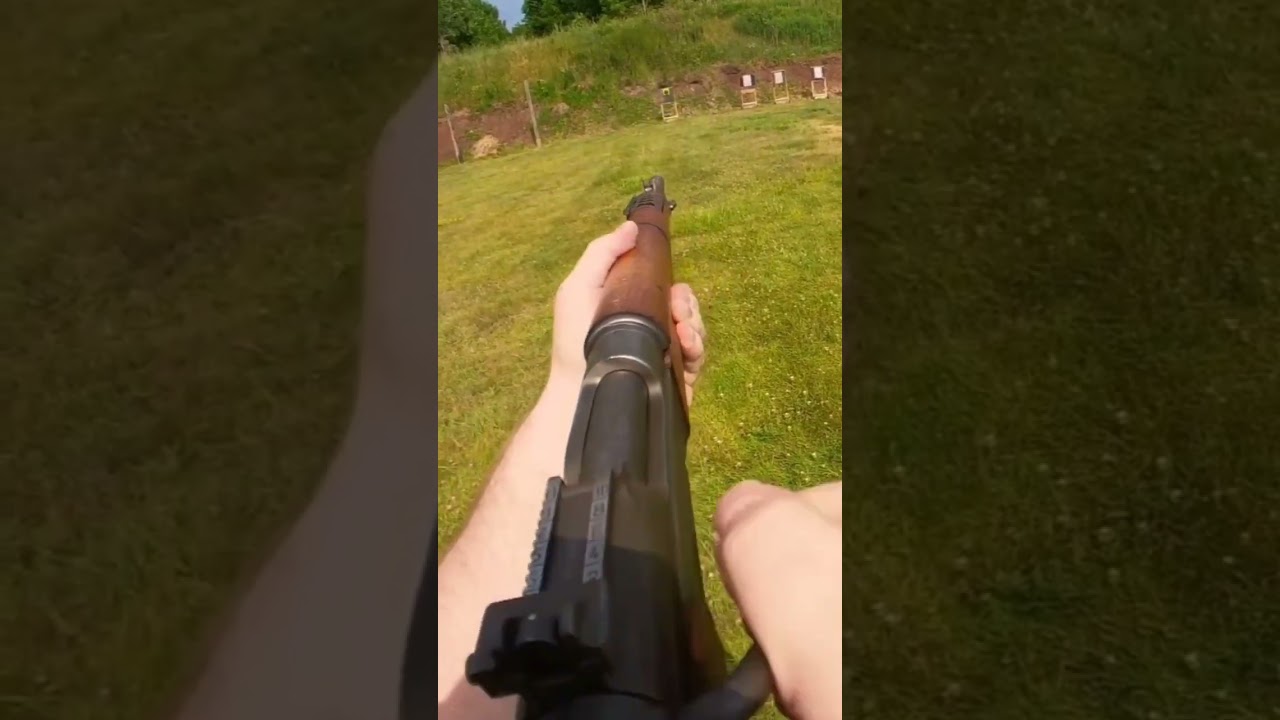 MAS 36/51 Cal. 7.5x54 MAS #shorts #guncollection #gun #shooting #shortvideo