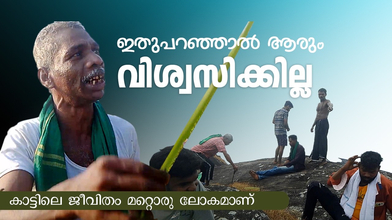 ഇതു പറഞ്ഞാൽ ആരും വിശ്വസിക്കില്ല | കാട്ടിലെ ജീവിതം മറ്റൊരു ലോകമാണ് |  ⛰️#travel  #travellife 