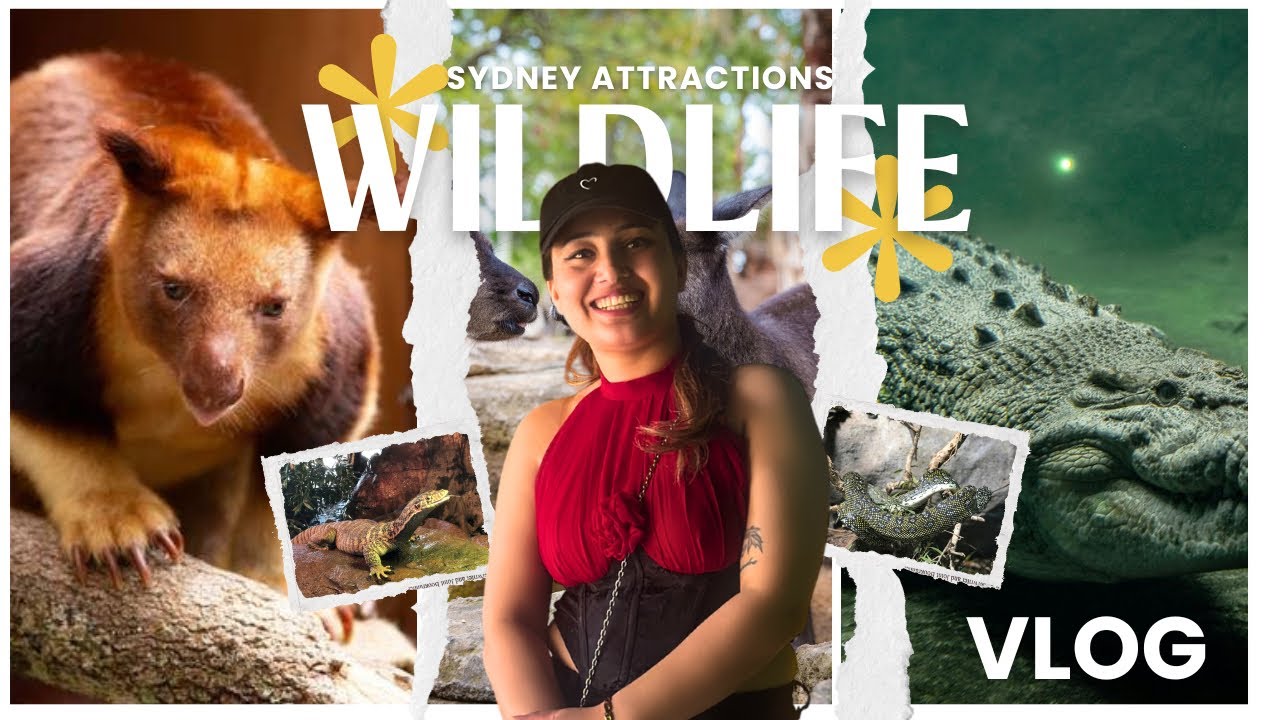 Meeting KANGAROOS & KOALAS at Wild Life Sydney! 🦘🐨 | Nepali Girl in Australia | Vlog