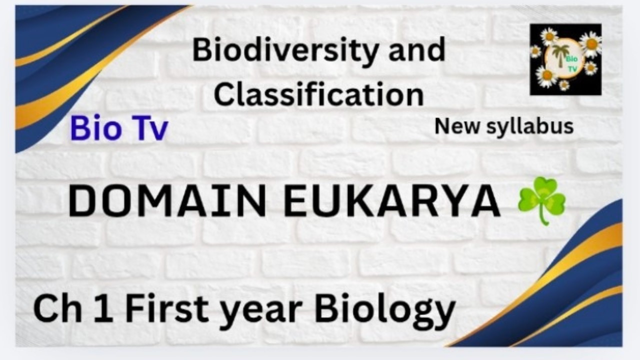 Domain Eukarya - First year Biology | Ch 1 Biodiversity and Classification - Lecture in Urdu/Hindi